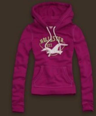 Cheap Hollister Women Hoodies wholesale No. 32